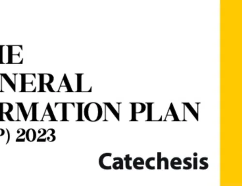 The General Formation Plan  Catechesis 4